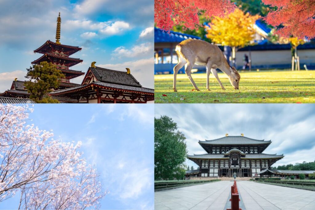 奈良県の特徴・特性とは